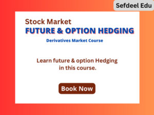 Future & Option Hedging Course