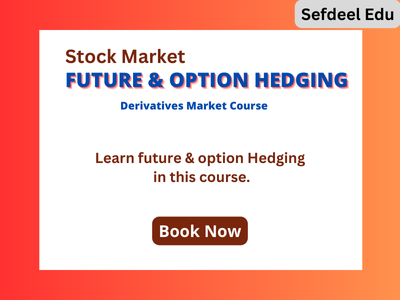 Future & Option Hedging