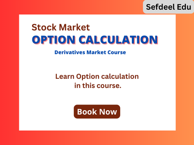 Option Calculation