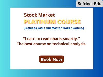 Platinum Course